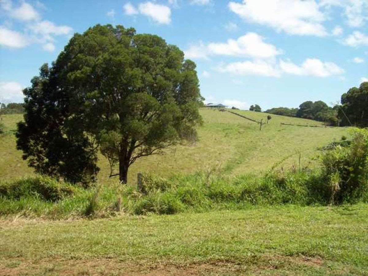 Malanda