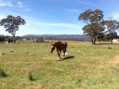 70 Ashes Bridge Road, Tallarook