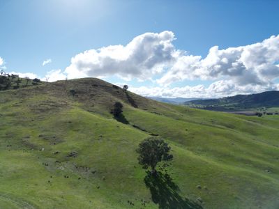 Lot 1, LP135805 Kiewa East Road, Tangambalanga