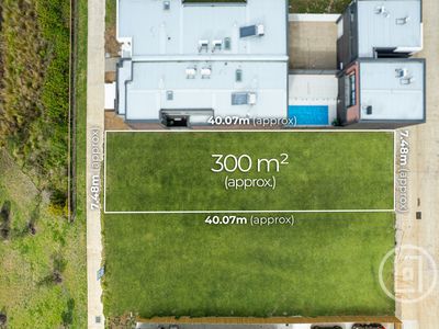 12 Armstrong Walk, St Leonards
