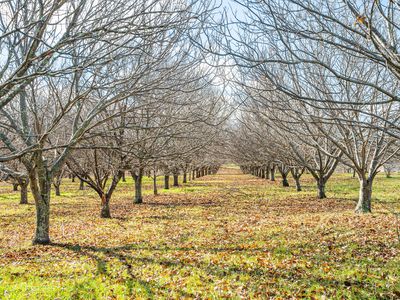 'Rose Cottage' 75 Lawrie Road, Beechworth