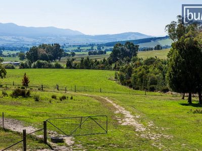 473 Switchback Road, Mudgegonga