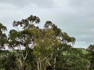 Lot 7, Paradise Drive, Wirrina Cove