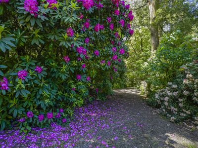 968 Mount Macedon Road, Mount Macedon