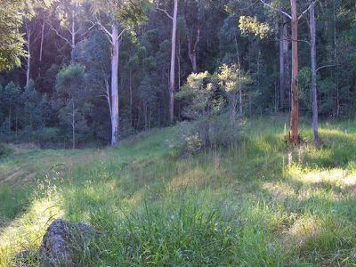 Ourimbah