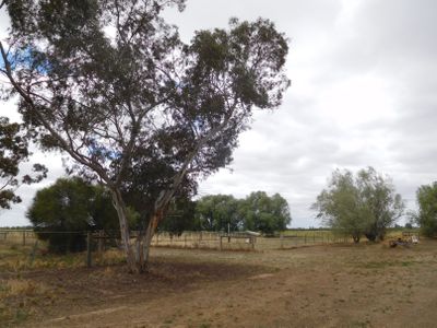 165 Scrimizzi Road, Lemnos