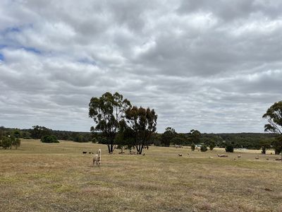 83A Newbold Street, Wedderburn
