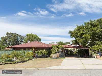 27 Norkus Way, Willagee