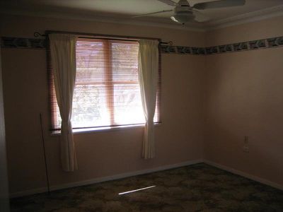 Mount Warrigal