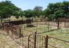 * Bowan Park Road, Orange