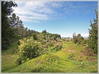 66 Palmer Road, Foxton Beach