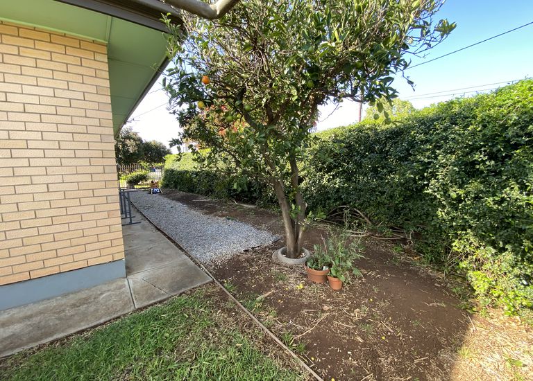 77 Lewis Street, South Brighton