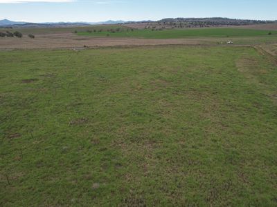 Lot 31, 6201 Scone Road, Merriwa