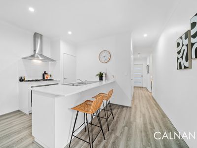 86 JUBILEE AVENUE, Success