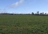 King Horn Lane, Huntley