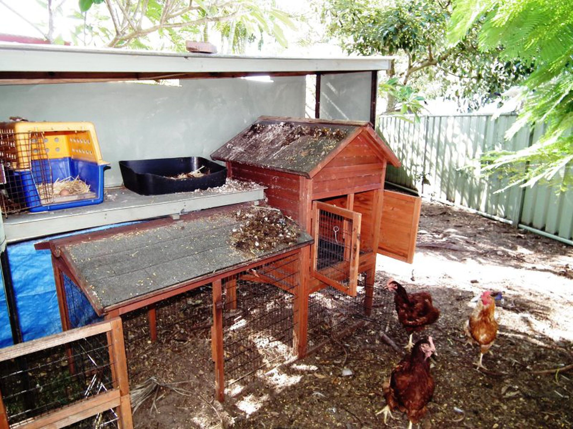 1 Perch Place, Tweed Heads West