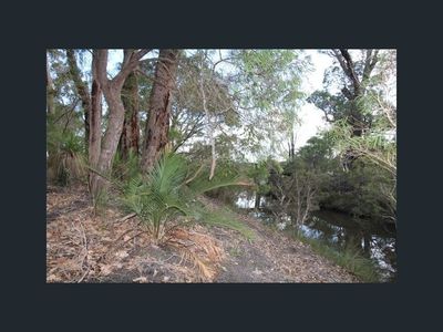 24 Flora Grove, Molloy Island