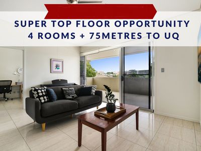 14 / 119 Macquarie Street, St Lucia