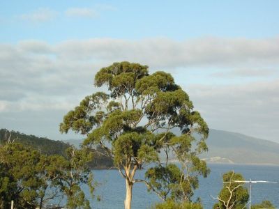 Lot 8 Channel Highway, Verona Sands