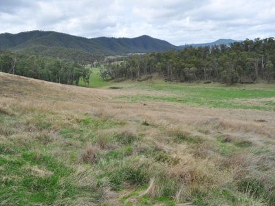 . Mitta North Road, Mitta Mitta