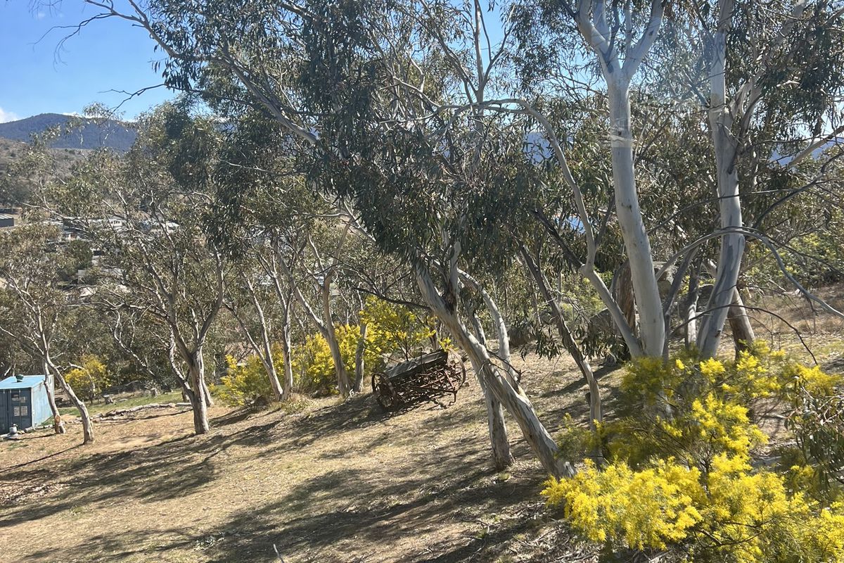 4 / 17 Kirwan Close, Jindabyne