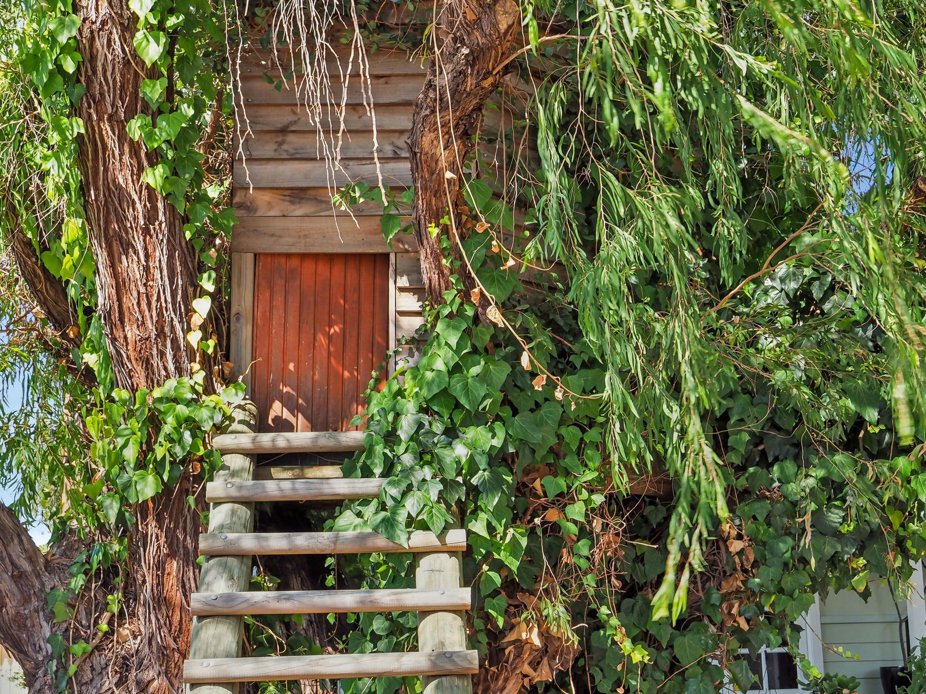 3 Mary Crescent, Eden Hill