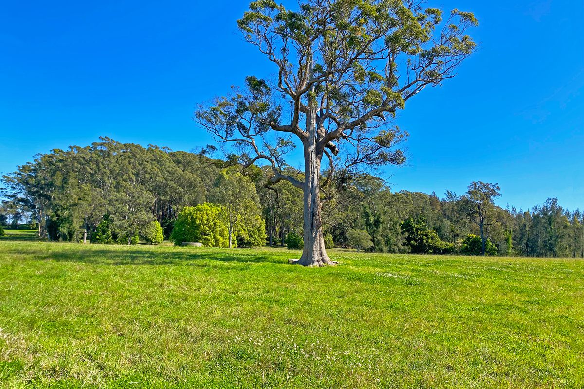 494 Kundle Kundle Road, Kundle Kundle