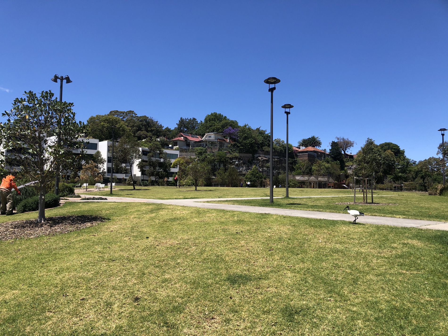 303 / 119 Ross St, Forest Lodge