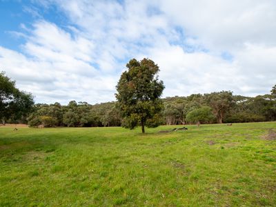 343 Dingo Flat Road, Hazelvale