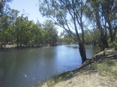 Lot 251 Balpool Road, Moulamein