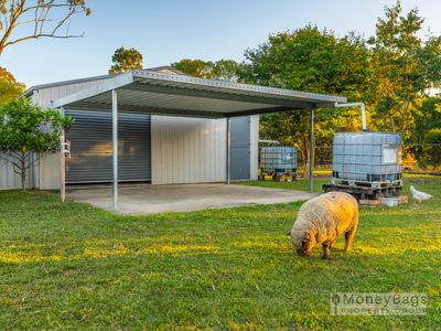 19-23 Crows Ash Court, Flagstone