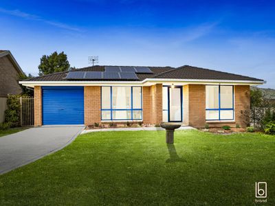 8 Tristram Close, Lake Haven