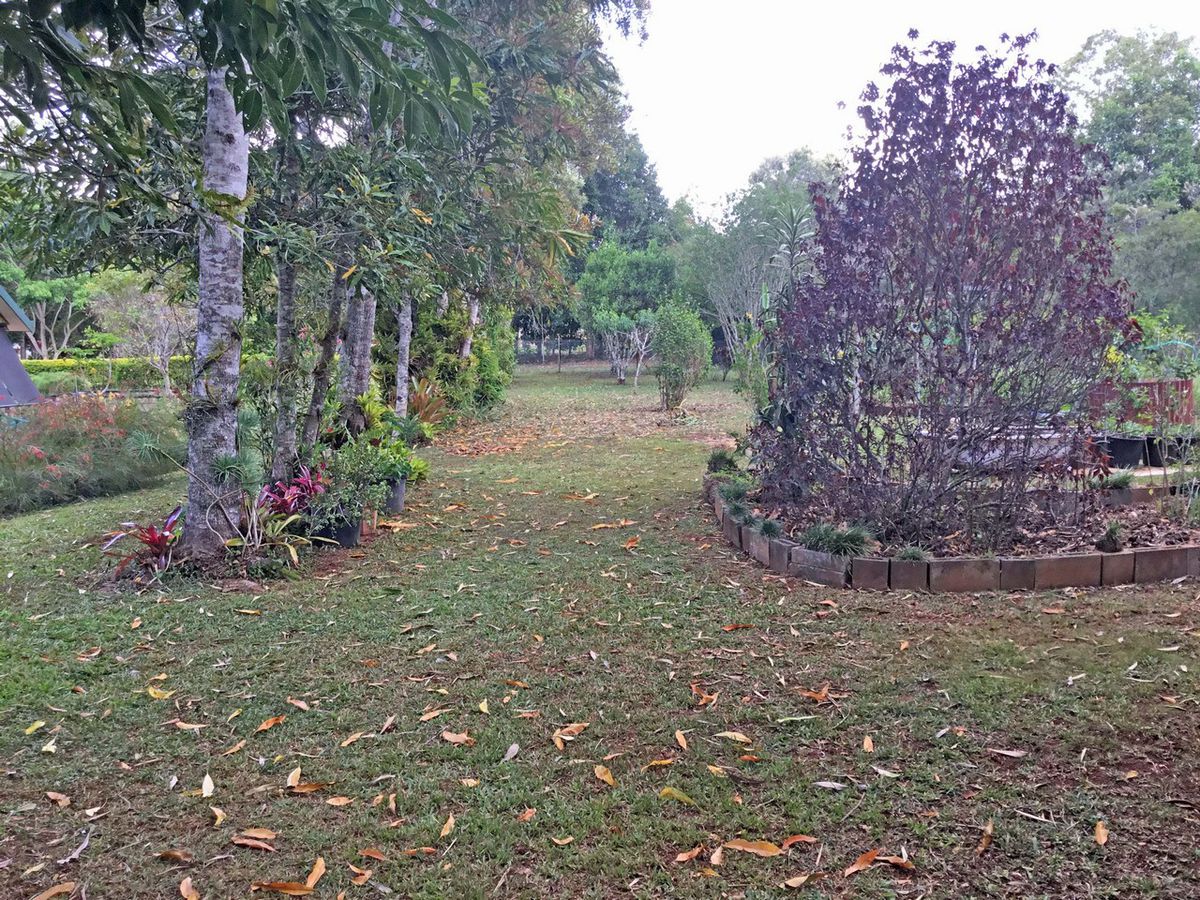 Malanda