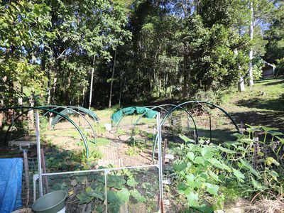 240 Stanger Road, Stony Chute