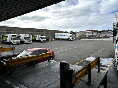 9 Midland Street, South Dunedin