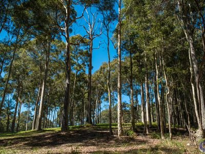 130A Rainforest Parkway, Narooma