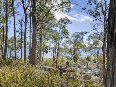 22 Arthurs Lake Road, Wilburville