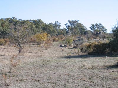 LOT 4 VICTORIA HILL ROAD, Heathcote
