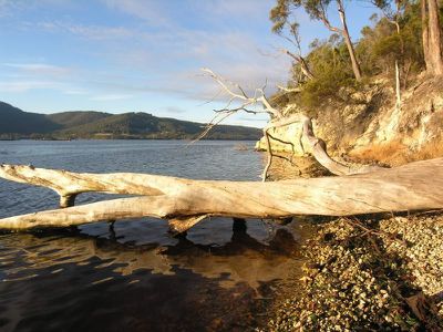 107 Esperance Coast Road, Surges Bay