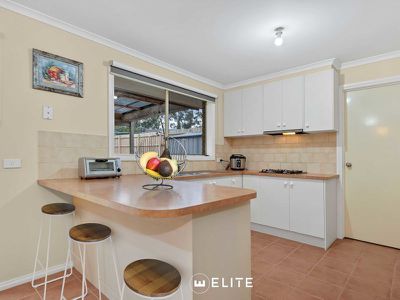 10 Henshaw Court, Narre Warren South