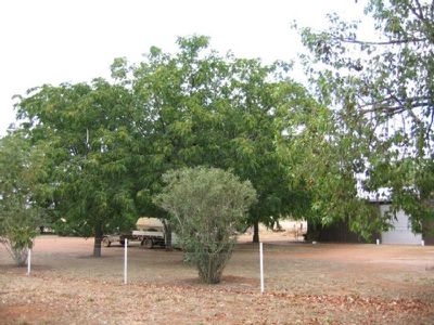 1, 1A and 2 Burril Street, Tomingley