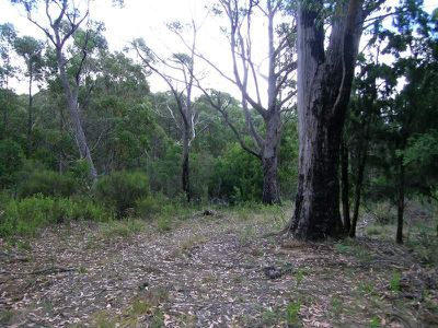 Hastings Caves Road, Hastings