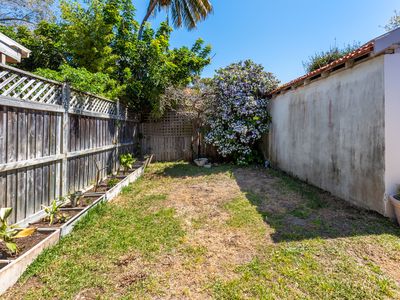 41 Knowles Avenue, North Bondi