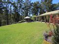 9165 Princes Highway, Tilba Tilba