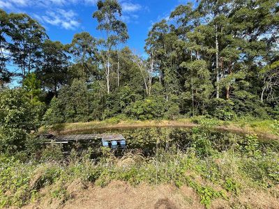 42 Old Palmwoods Road, West Woombye