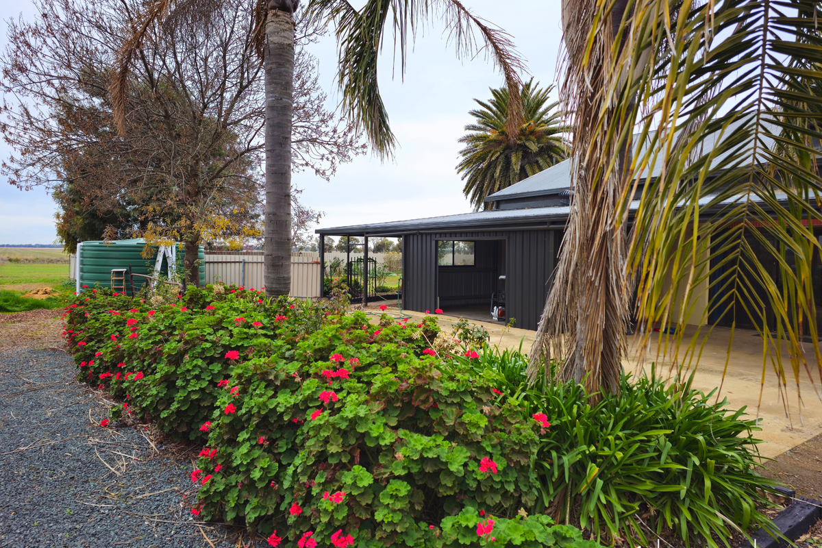 429 Darrigan Road, Corop