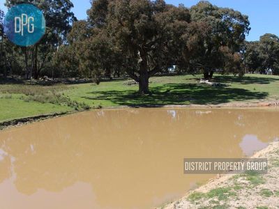 487 Old Tonga Road, Mansfield