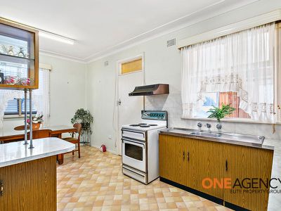 98 Parkside Drive, Dapto