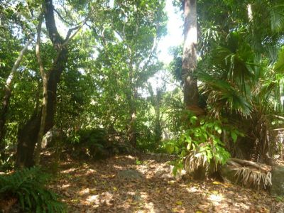 14 Ann Street, Cooktown