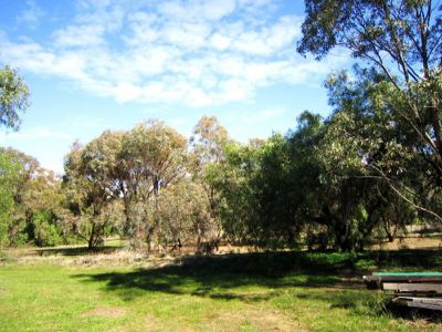 27-31 George Street, Serpentine
